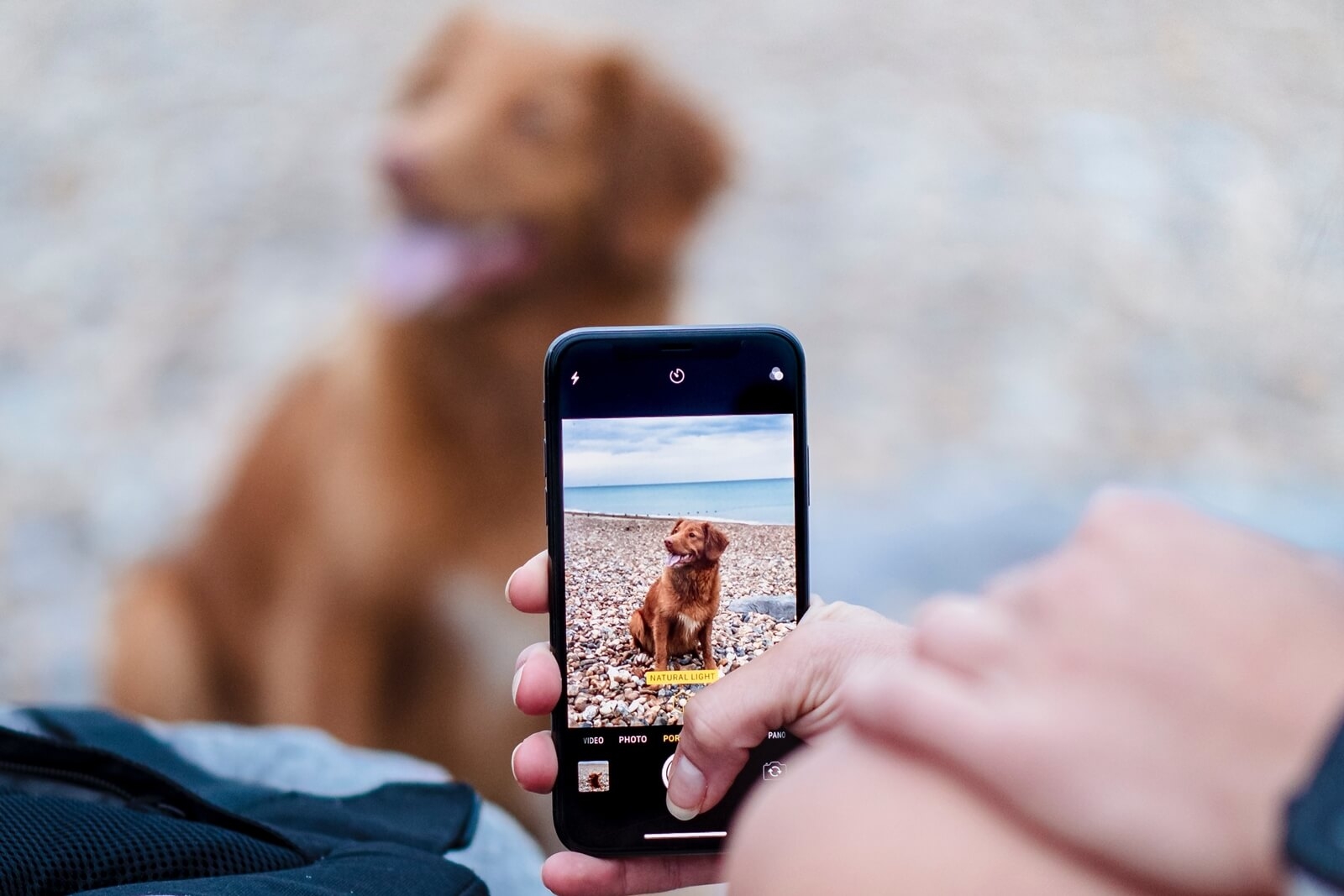 Android向けおすすめの写真管理アプリ３選