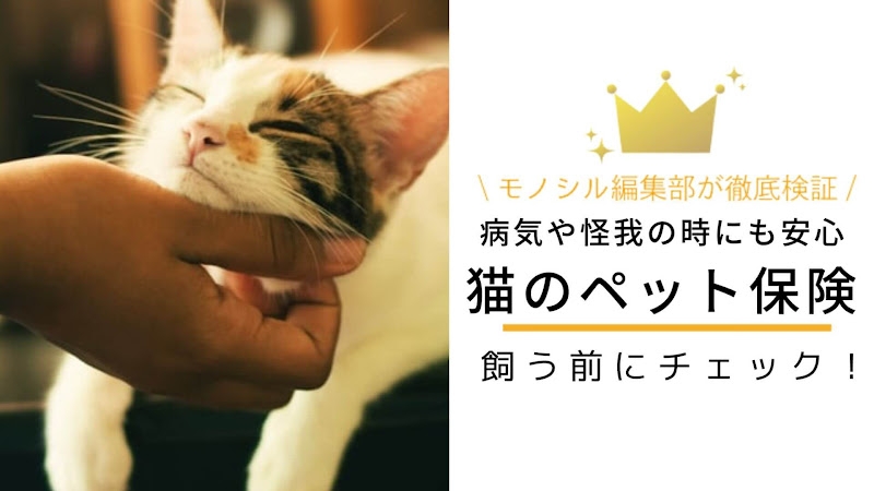 猫を飼う前にチェック！病気や怪我になった時にも安心な猫のペット保険