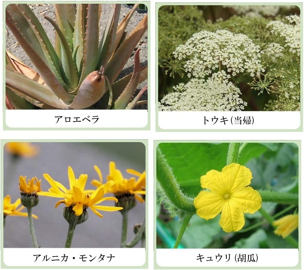 美健漢方研究所 草根木花 ハーブ アストリンゼントローション No.1の商品画像3