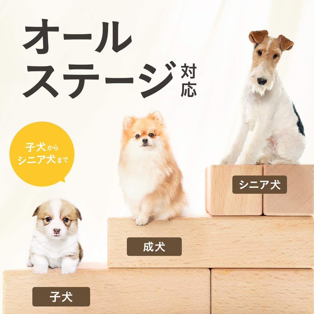 FamTies(ファムタイズ) ヒューマングレード ドッグフード [子犬-シニア犬] オールステージ対応 1kgの商品画像7 