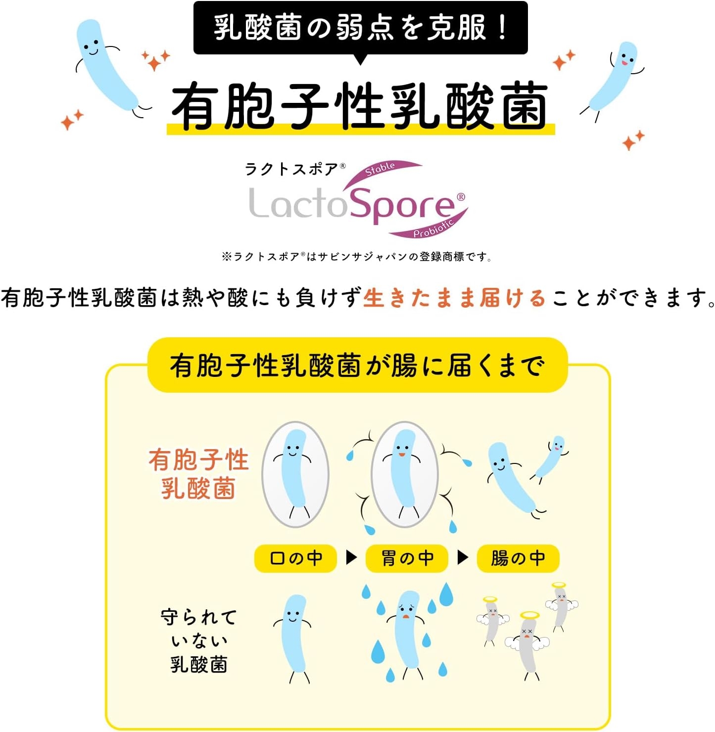 新谷酵素 hobo100 有胞子性乳酸菌の商品画像4 