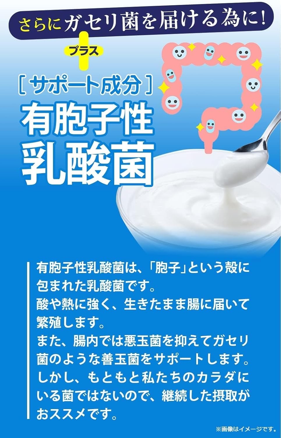 Royal BS(ローヤルビーエス) ガセリ菌プレミアムの商品画像4