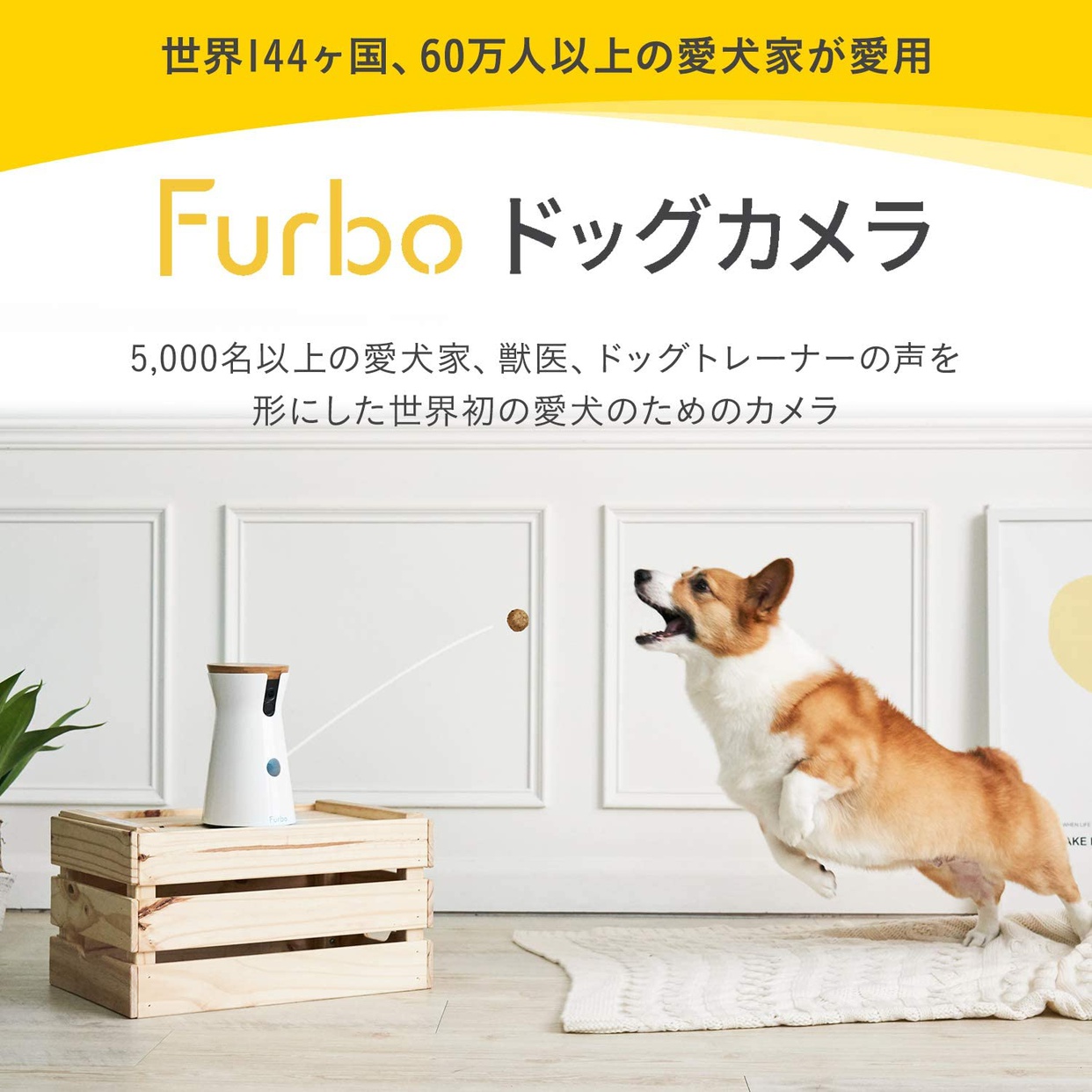 Furbo(ファーボ) ドッグカメラの悪い口コミ・評判は？実際に使ったリアルな本音レビュー0件 | モノシル