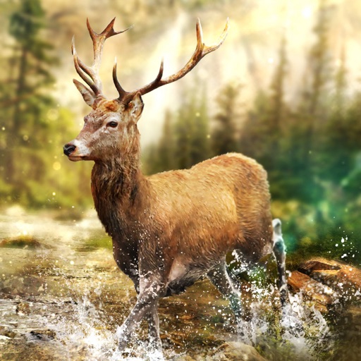 Ten Square Games(テンスクエアゲーム) Hunting Clash：動物シューティングゲーム 3Dの商品画像1 