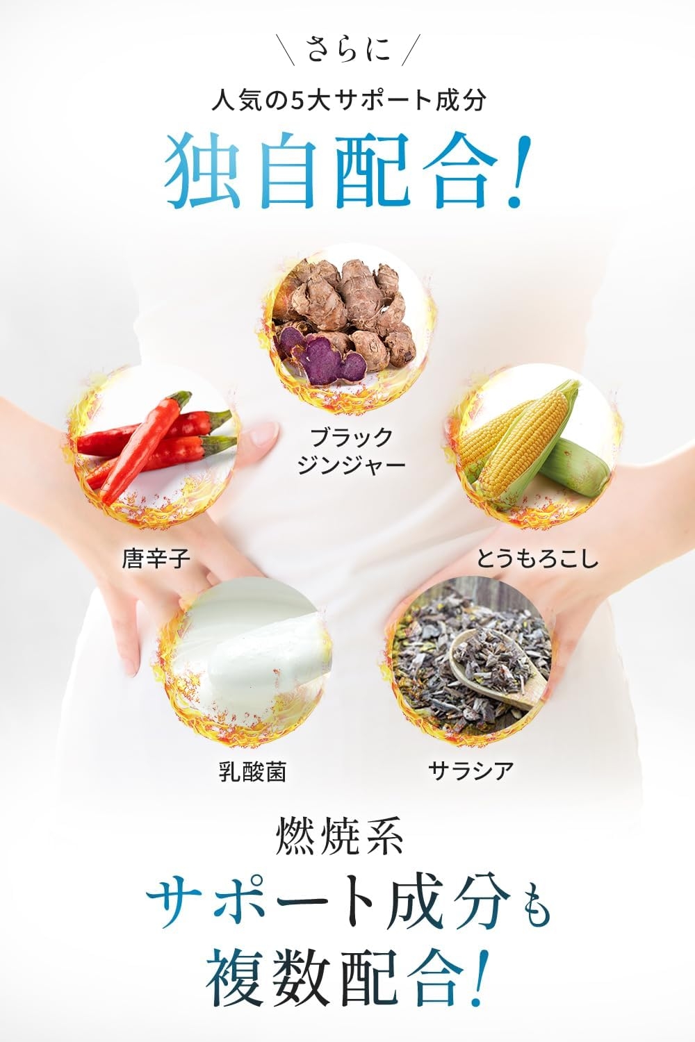 wellreco(ウェルレコ) 糖脂サプリメントの商品画像2 