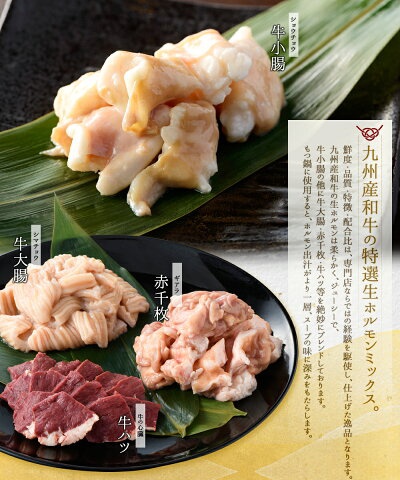 芳々亭 博多もつ鍋 お試しセットの商品画像7 