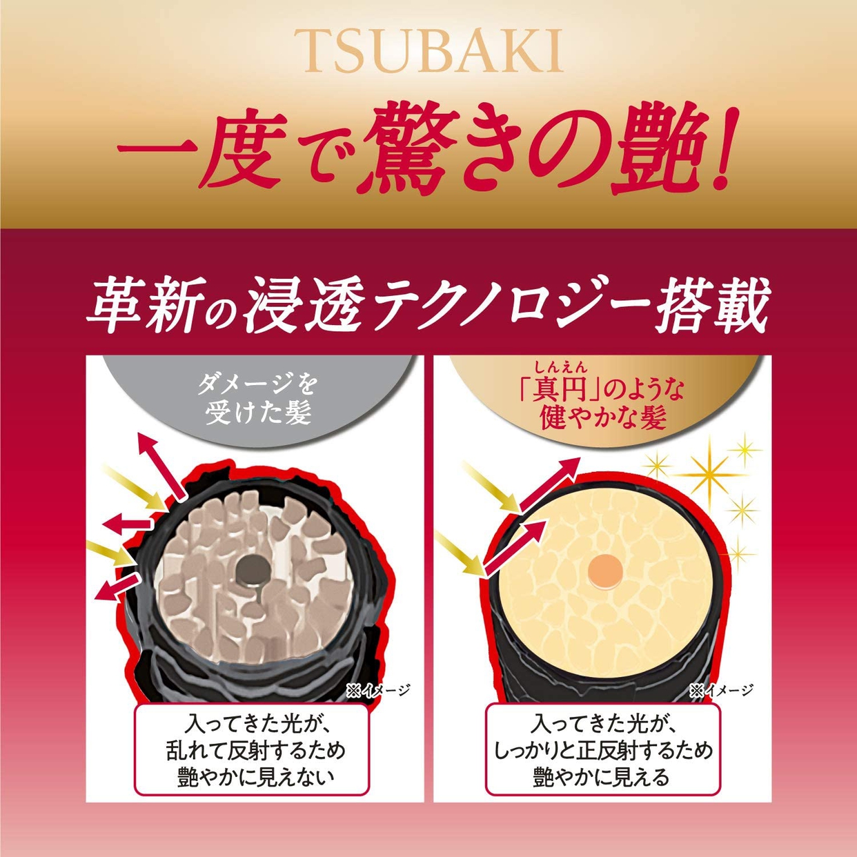 TSUBAKI(ツバキ) プレミアムモイスト ヘアコンディショナーの商品画像4 
