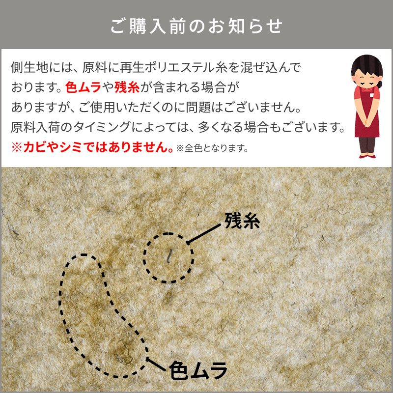 SLEEP PLUS(スリーププラス) 洗える除湿シートの商品画像16 