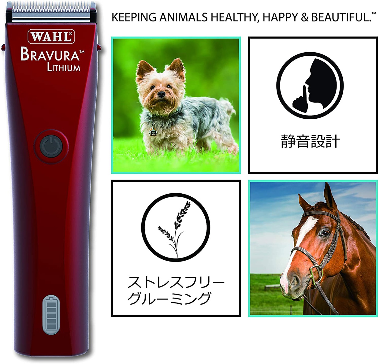 WAHL(ウォール) ブラビューラの悪い口コミ・評判は？実際に使った