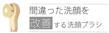 髪美人育成プロジェクト 間違った洗顔を改善する 洗顔ブラシの商品画像2 