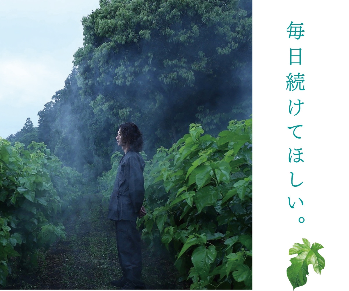 桑SHIROTO(クワシロト) ふじさん桑抹茶の商品画像3 