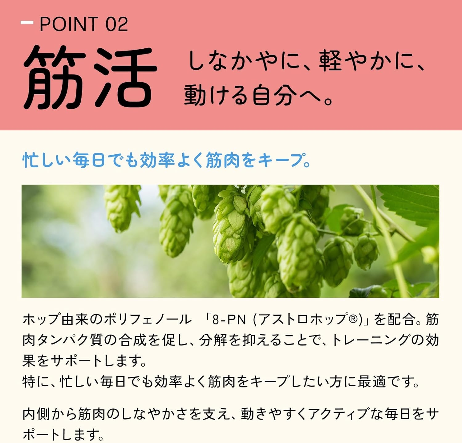発酵マメ子 発酵マメ子 ボディキープの商品画像4 