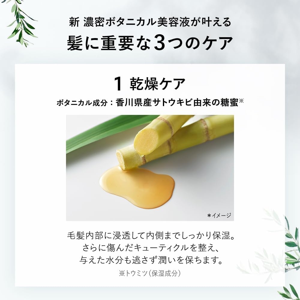 BOTANIST(ボタニスト) ボタニカルシャンプー／トリートメント(モイスト)の商品画像8 