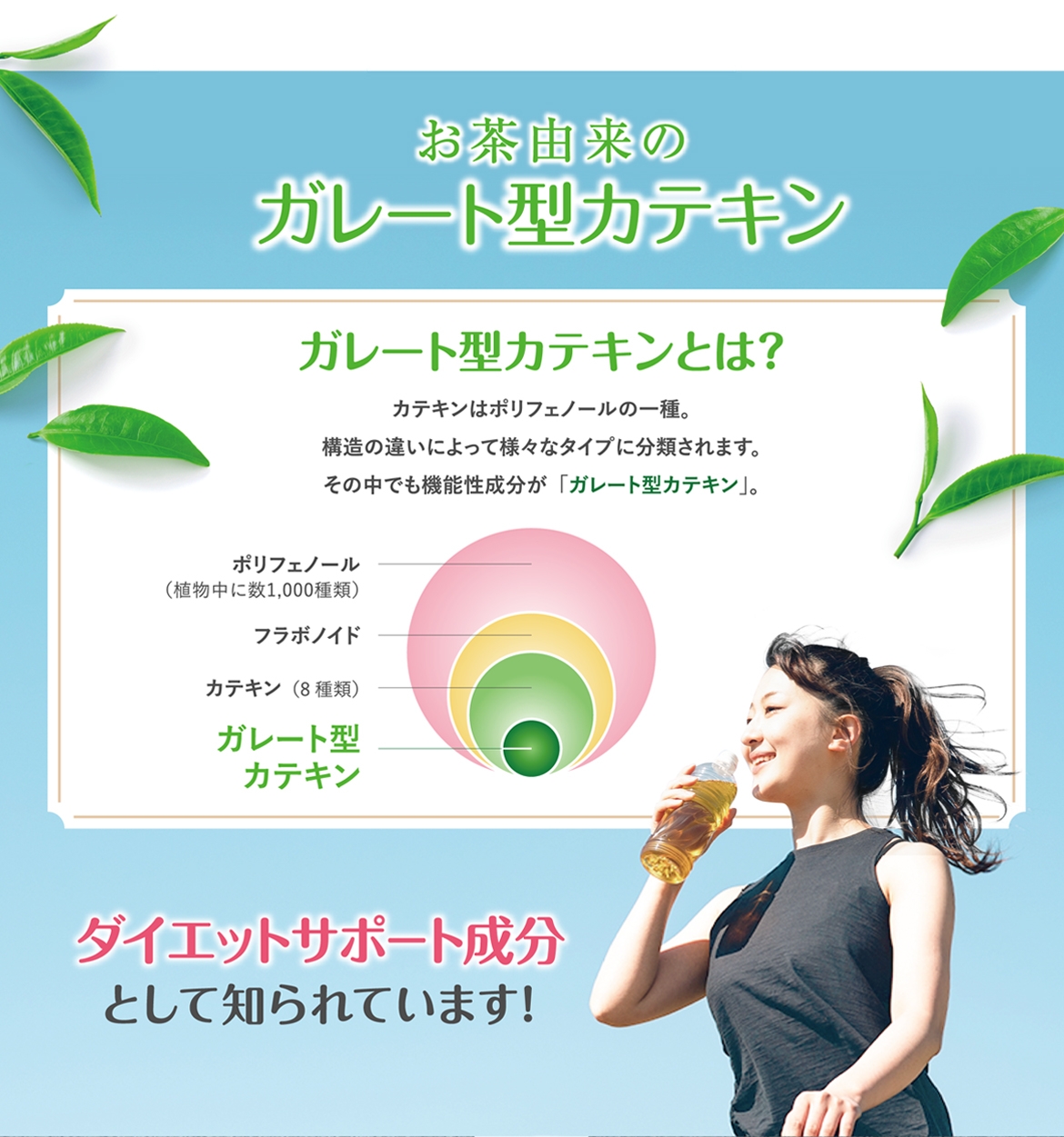 UHA味覚糖 スーパーカテキンDIETの商品画像3 