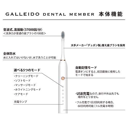 ガレイド GALLEIDO DENTAL 電動歯ブラシ 超極細毛 歯ブラシの商品画像サムネ4 