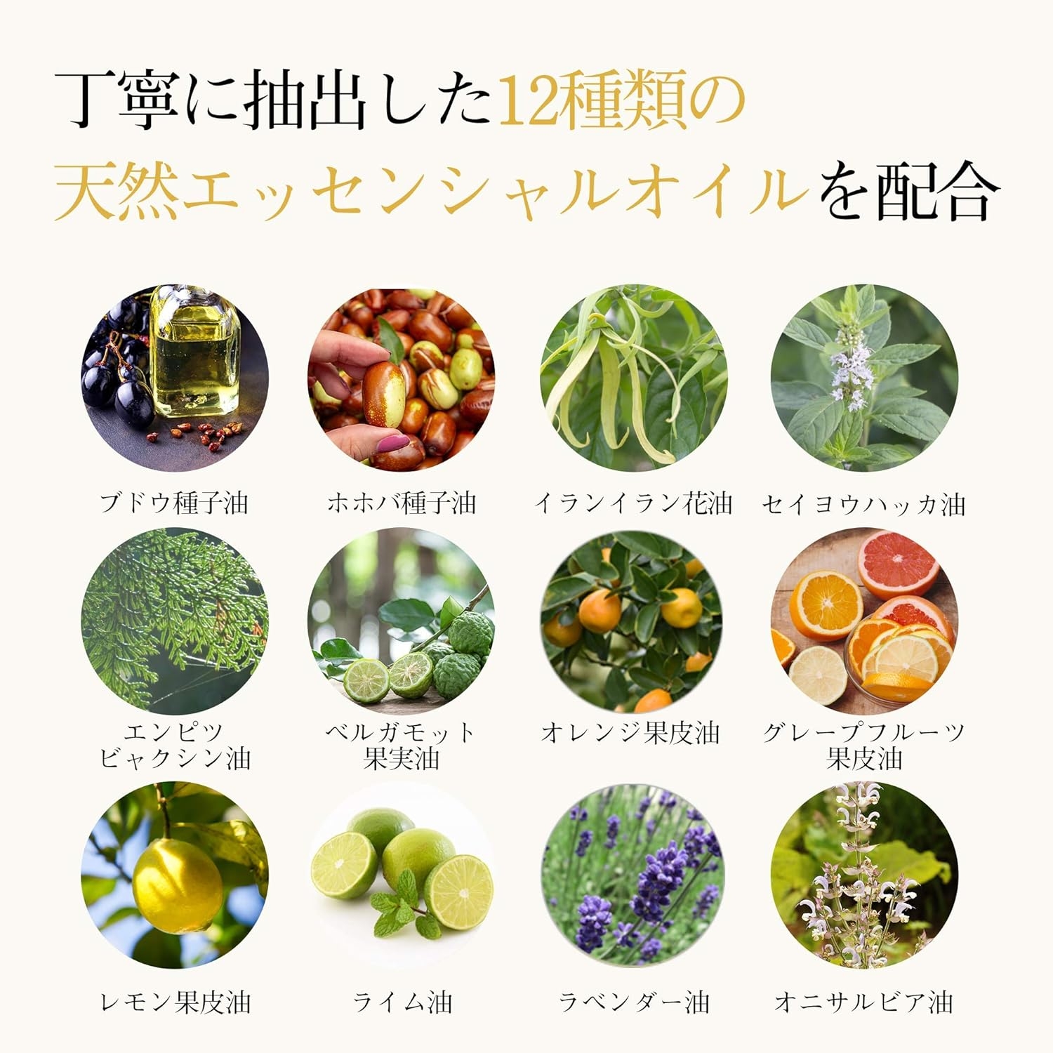 MOGANS(モーガンズ) ディープモイストオイル 柑雫の商品画像8 
