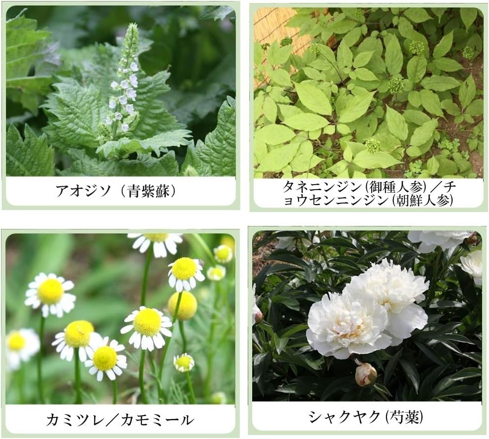 美健漢方研究所 草根木花 ハーブ アストリンゼントローション No.1の商品画像2