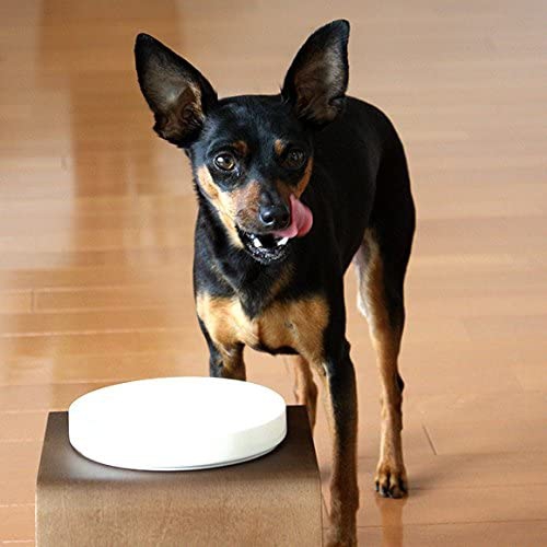 SOLVIDA(ソルビダ) 室内飼育成犬用(インドアアダルト) チキン 1.8kgの商品画像サムネ11 