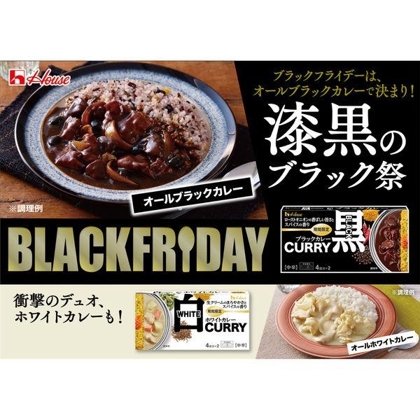 ハウス食品(House) ブラックカレーの商品画像5 