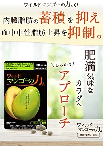 亀山堂 ワイルドマンゴーの力の商品画像6 