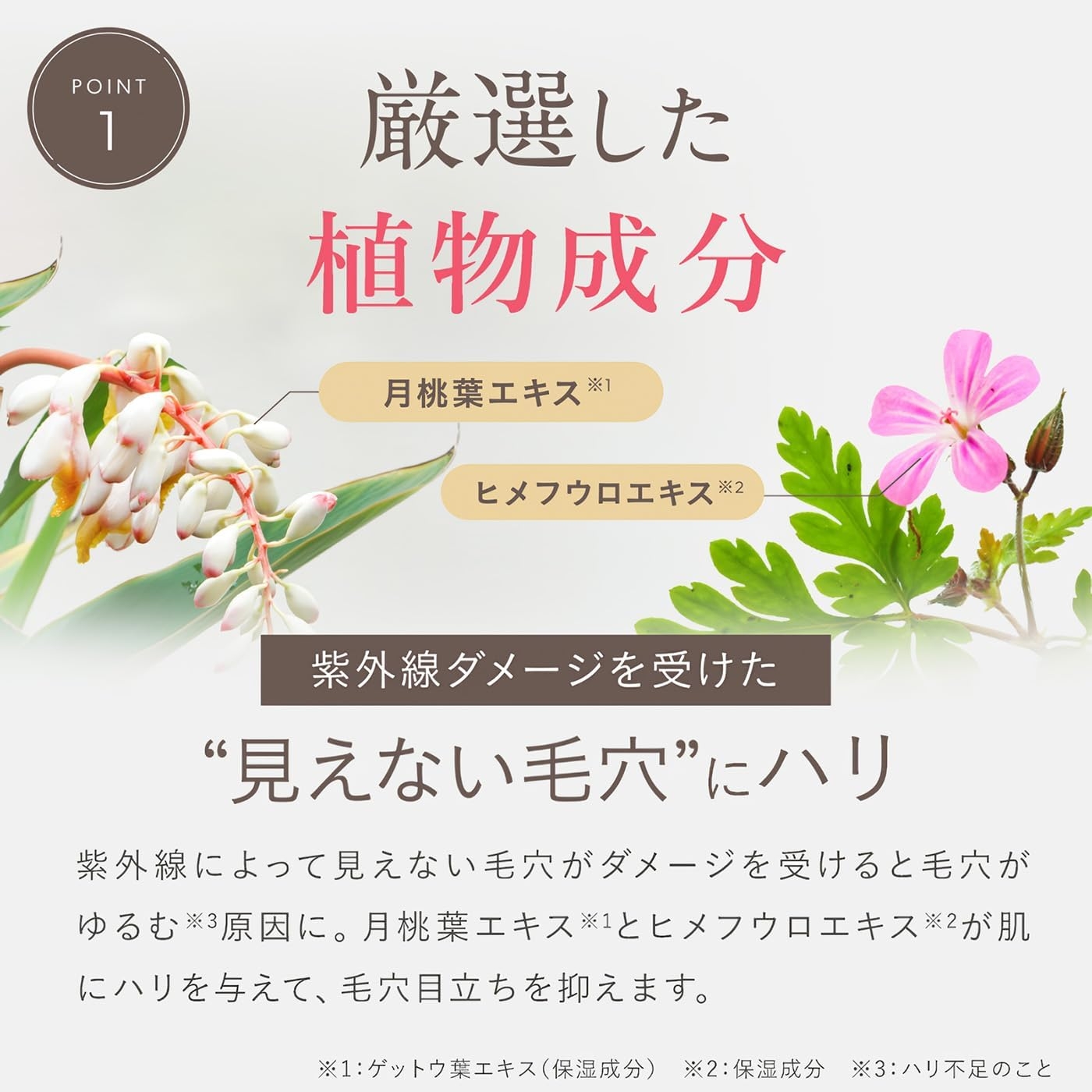 草花木果(SOKAMOCKA) マスクジェル Cの商品画像6 