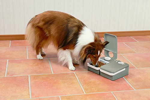 PetSafe(ペットセーフ) おるすばんフィーダー 2食分の商品画像3 