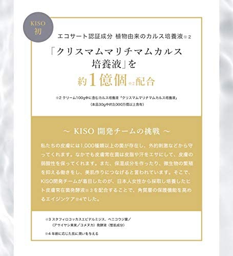KISO(キソ) ステム セルフ クリームの商品画像6 