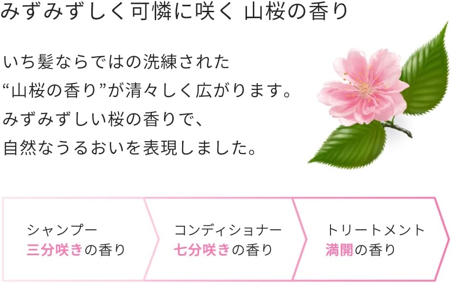 いち髪(ICHIKAMI) なめらか スムースケアシャンプーの商品画像10 