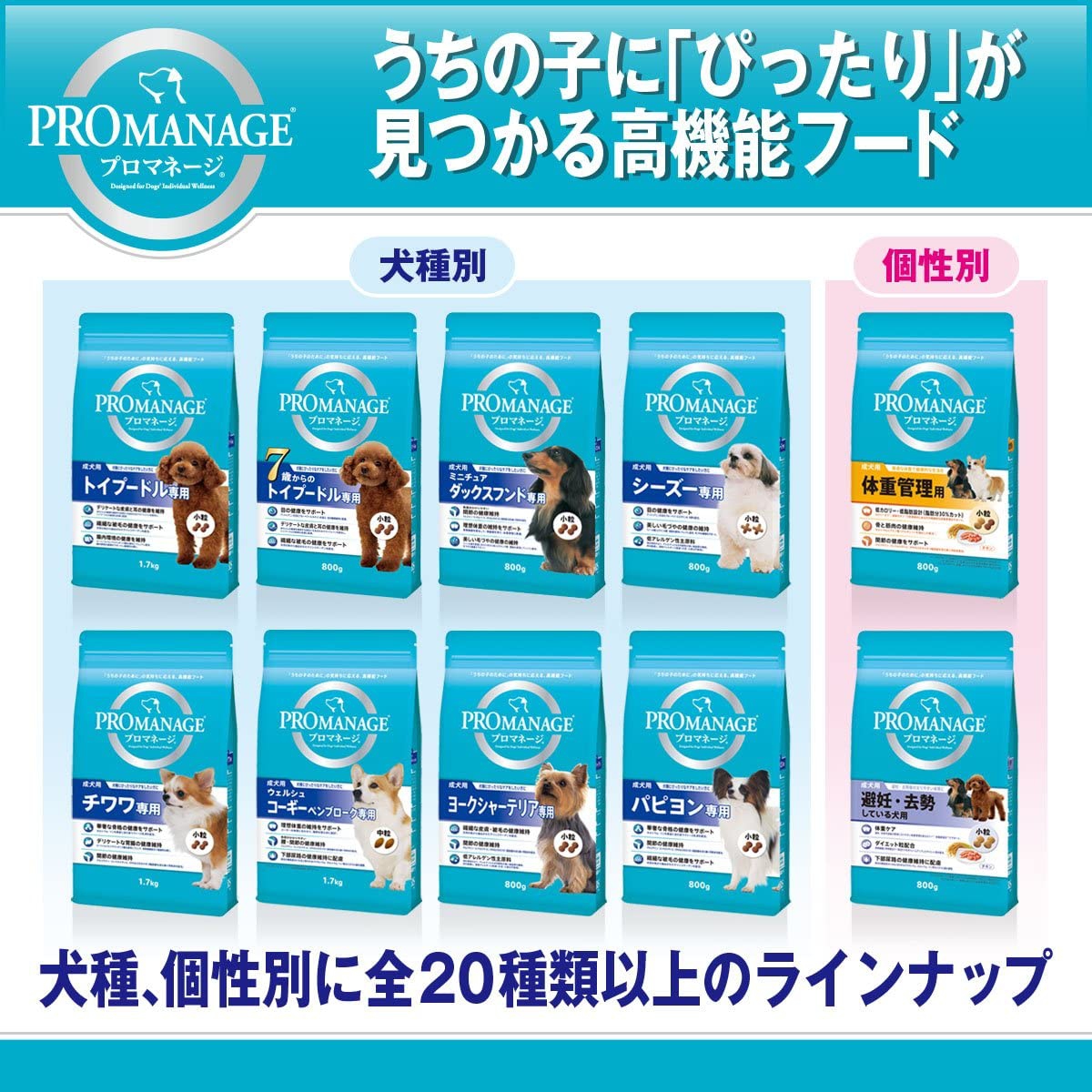 PROMANAGE(プロマネージ) 犬種別シリーズ トイプードル専用の商品画像7 