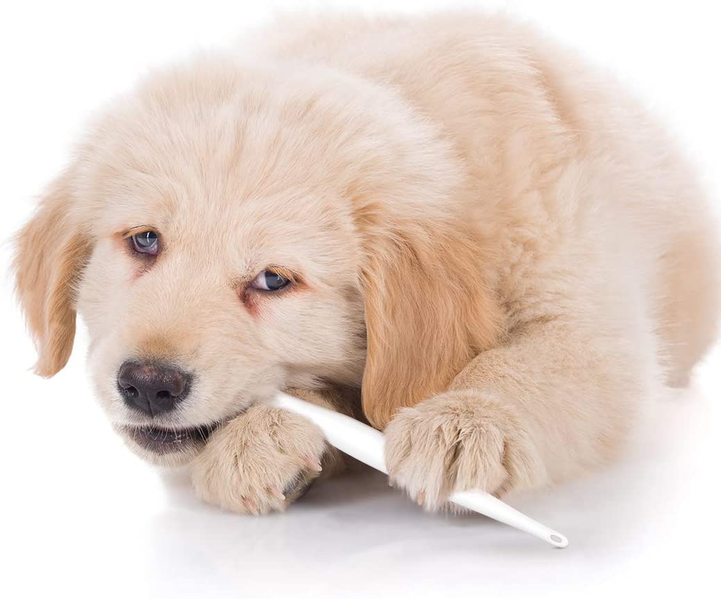 UEETEK(ユーイーテク) 犬用歯ブラシ シリコンの商品画像6 