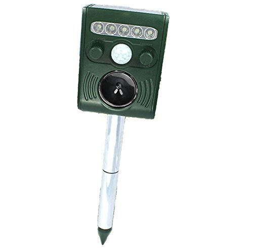 KYPLAZA(ケーワイプラザ) アニマルガーディアン