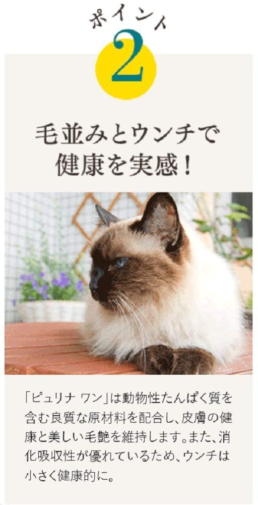 Purina ONE(ピュリナ ワン) 避妊・去勢後から全ての年齢に 避妊・去勢した猫の体重ケア ターキーの商品画像サムネ4 