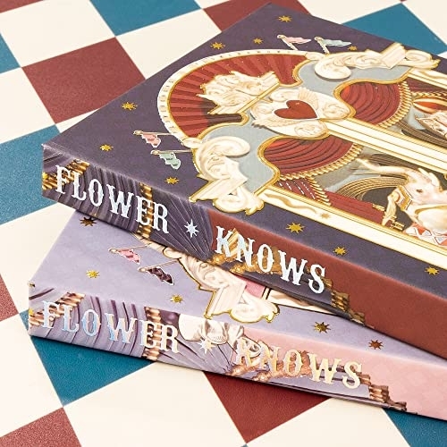 FlowerKnows(フラワーノーズ) サーカスシリーズ 12色アイシャドウパレットの商品画像7 