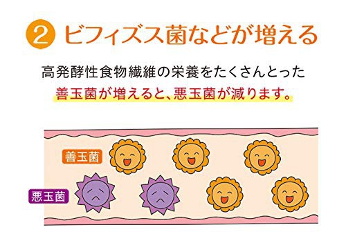 Nestle(ネスレ) ヘルスサイエンス アイソカルサポートファイバーの商品画像5 