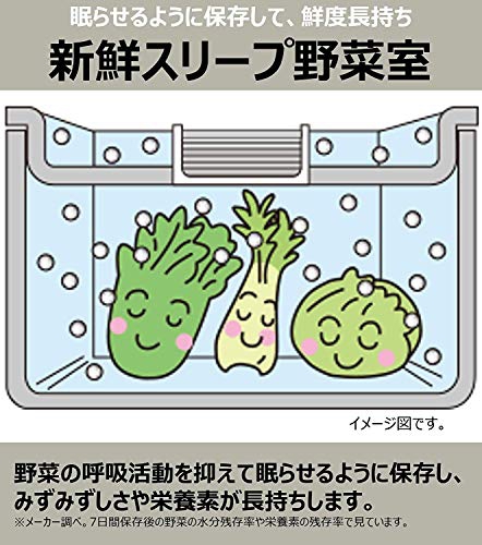日立(HITACHI) 冷凍冷蔵庫 R-S4000Hの商品画像サムネ5 