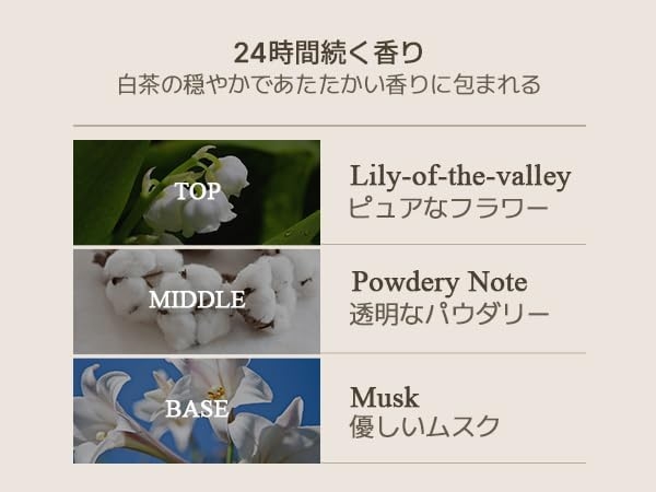 TEABLESS(ティーブレス) パフュームボディウォッシュの商品画像3 