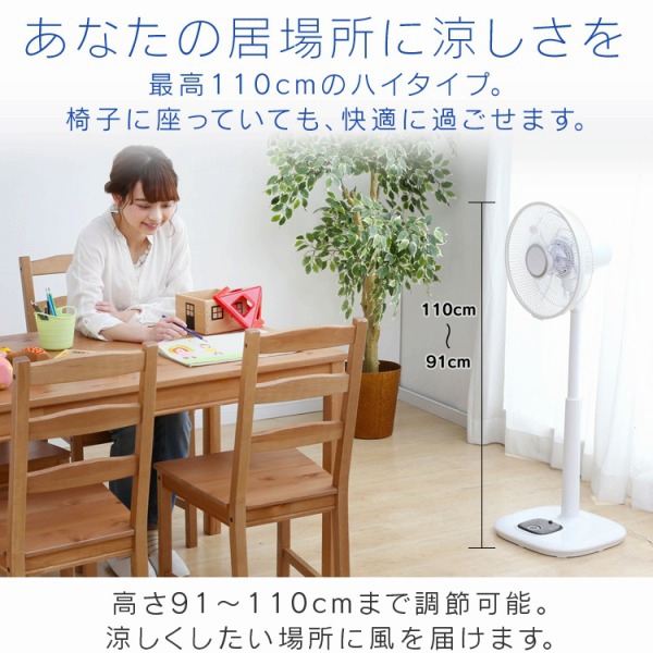IRIS OHYAMA(アイリスオーヤマ) リモコン扇風機 LFD-306Hの商品画像14 