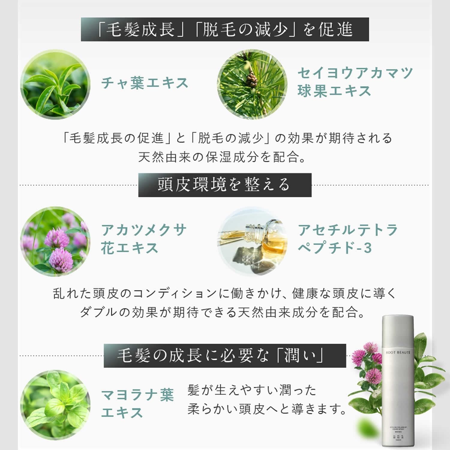 綺和美(KIWABI) ROOT BEAUTÉ スタイリングボリュームアップカバースプレーの商品画像6 