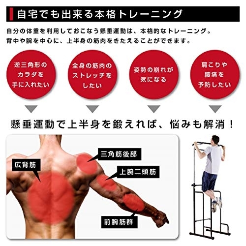 ALINCO(アルインコ) 懸垂マシン FA900Aの商品画像3 