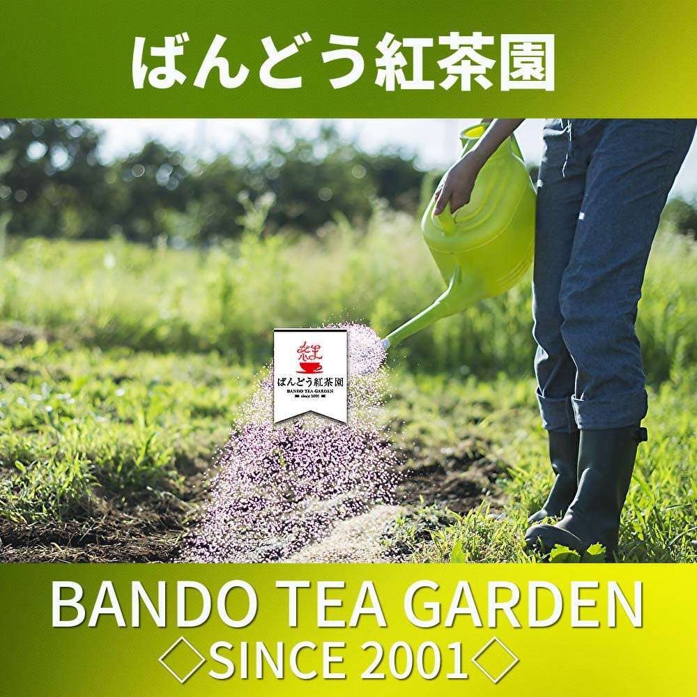 ばんどう紅茶園 ノンカフェイン 濃いジンジャー＆ルイボスティーの商品画像7 