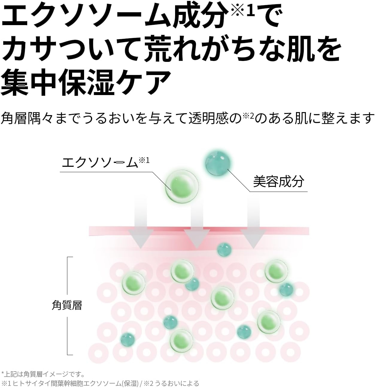 VT(ブイティー) リードルS PDRN+ セラムの商品画像5 