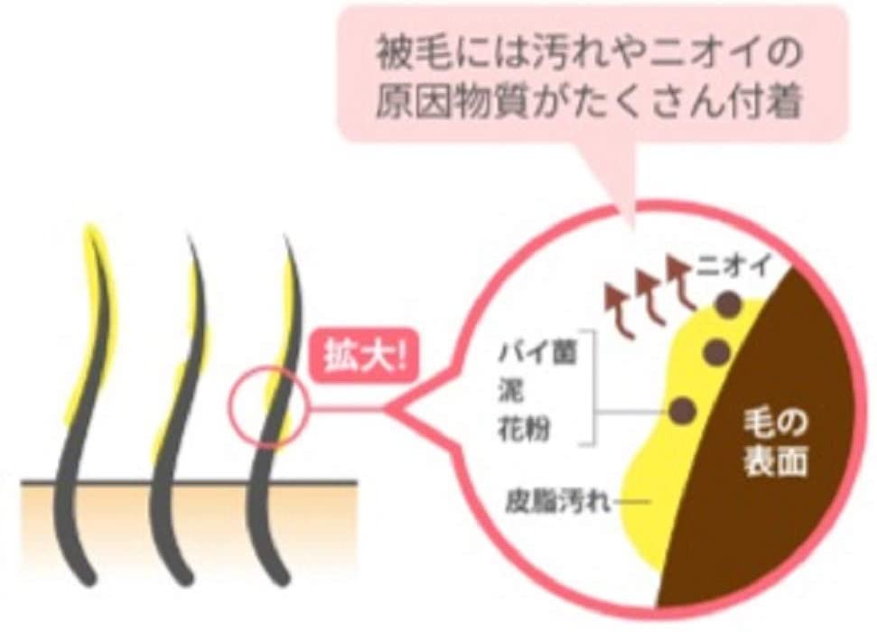 ペットキレイ 水のいらないリンスインシャンプー 愛猫用の商品画像3 