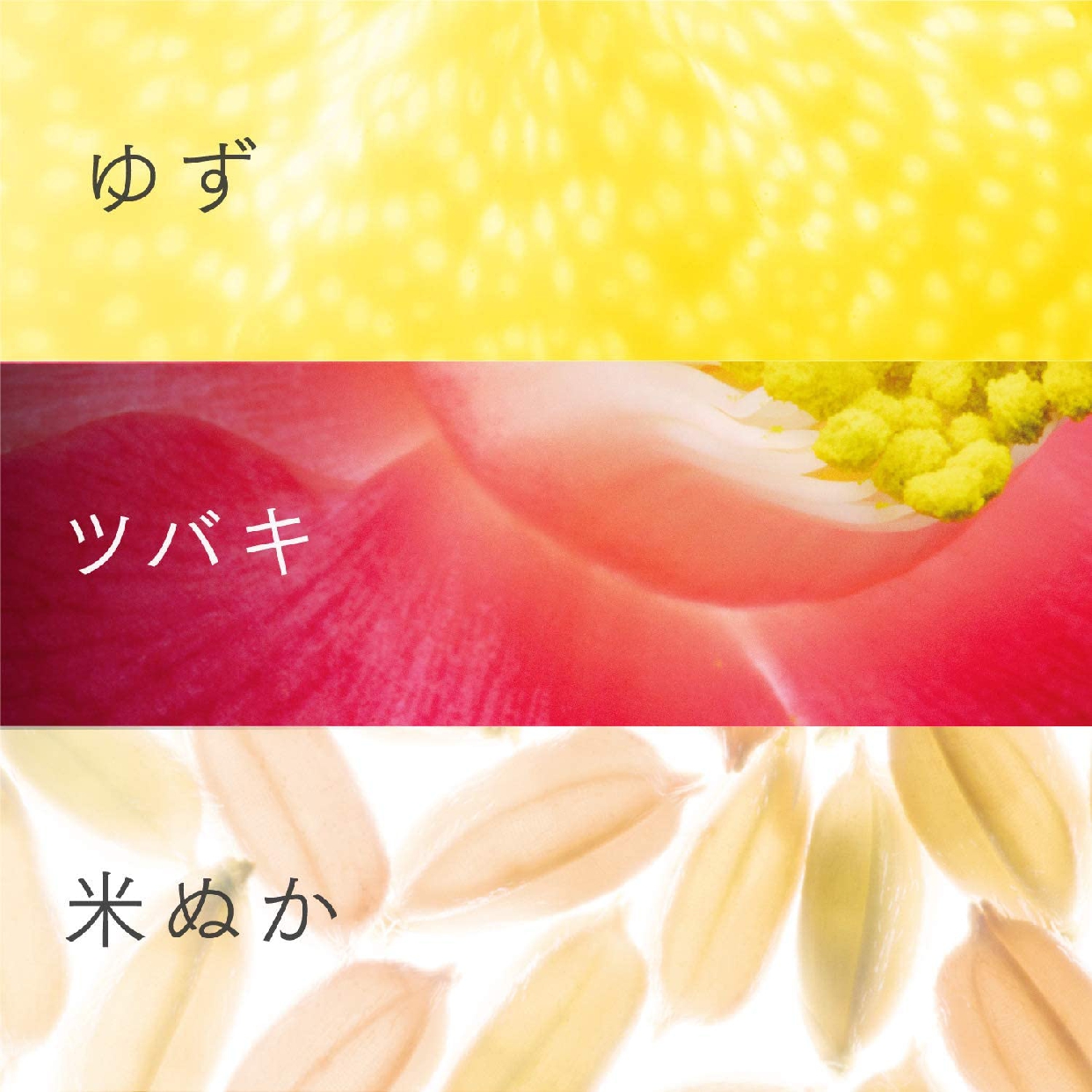 いち髪(ICHIKAMI) ナチュラルケアセレクト モイスト シャンプーの商品画像6 