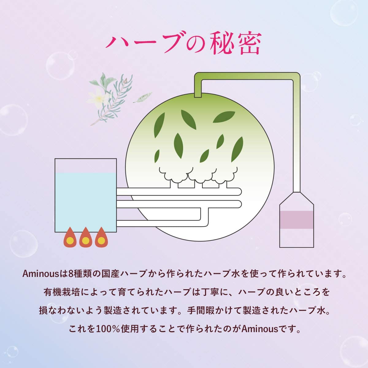 CONTRIBUTION(コントリビューション) Aminous シャンプーの商品画像3 