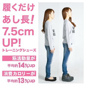 Goodman(グッズマン) ケイトルーバー レッグジムの商品画像5 