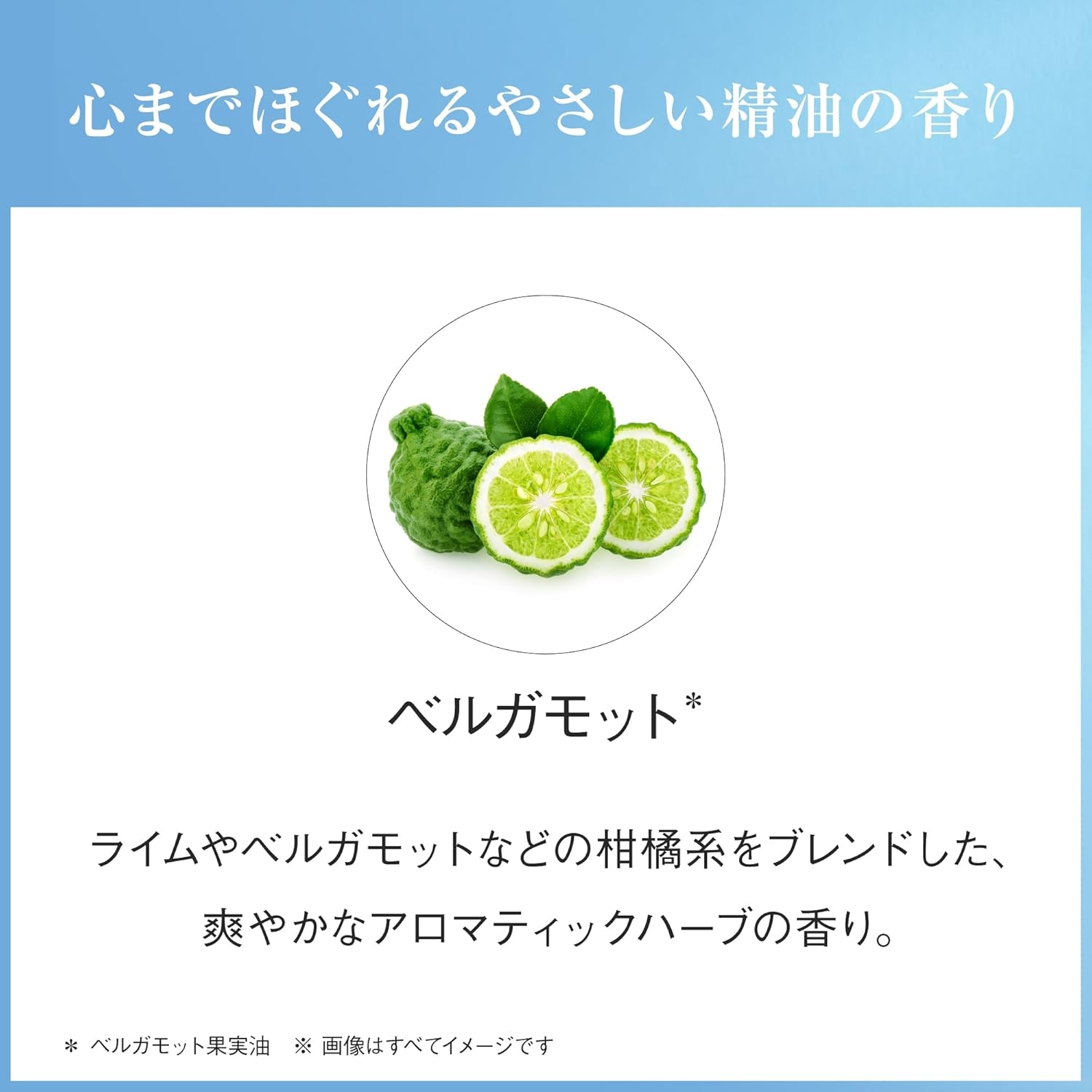 AYURA(アユーラ) メークオフミルクαの商品画像7 
