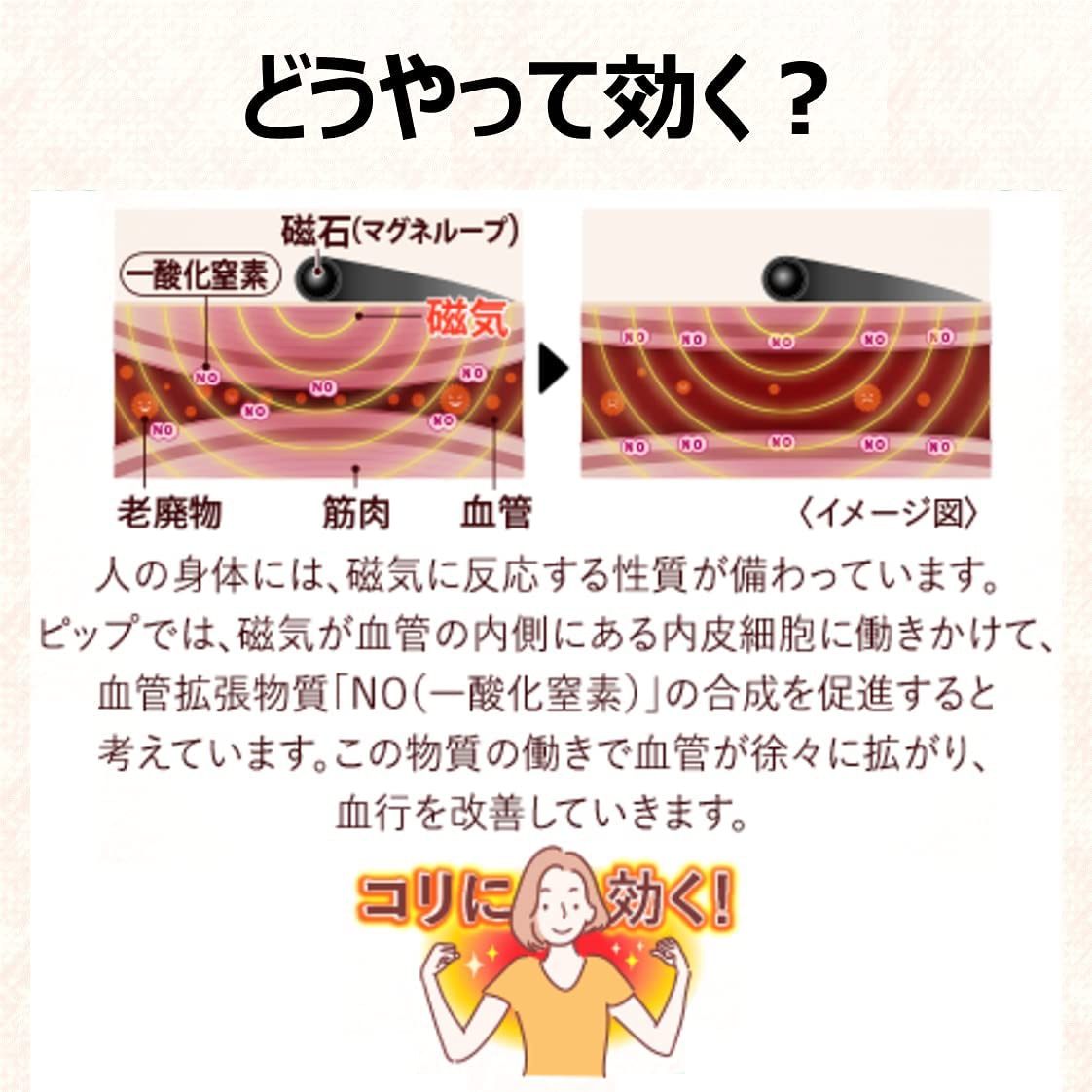 ピップ ピップマグネループEXの商品画像6 