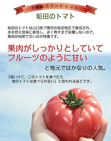 幸ふく 垢田のトマトゼリーの商品画像4 
