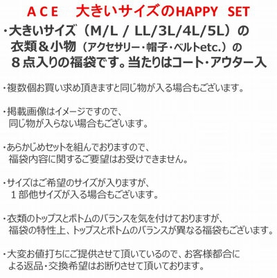 ACE(エース) 大きいサイズハッピー8点セットの商品画像13 