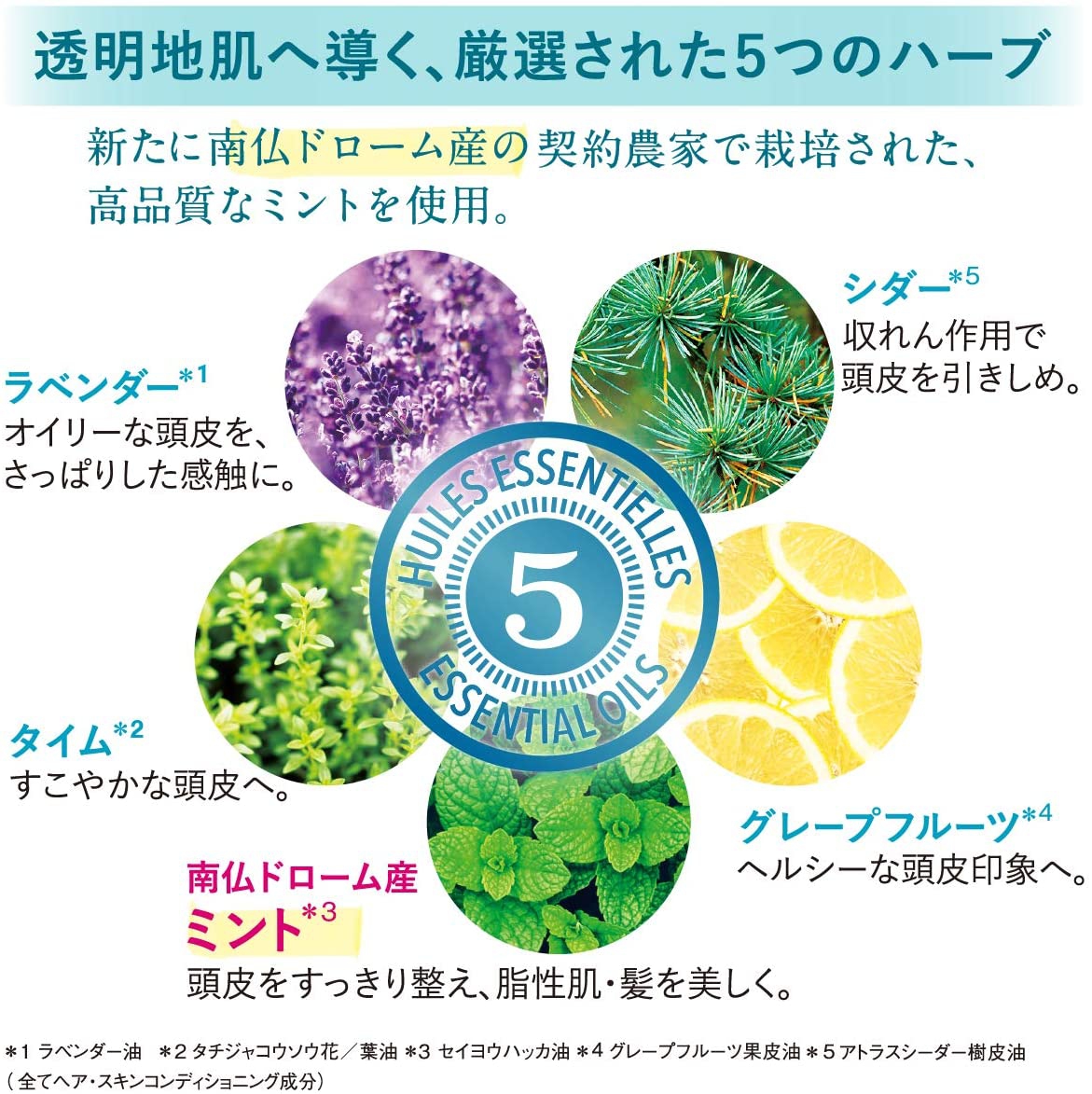 L'OCCITANE(ロクシタン) ファイブハーブス ピュア フレッシュネス シャイニング ビネガーの商品画像2 